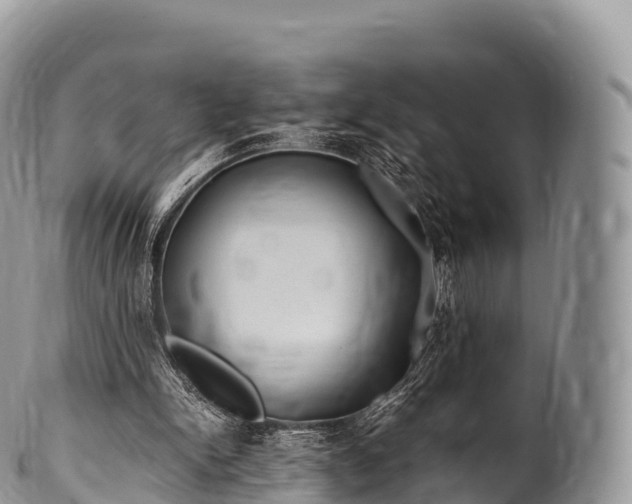 X0000100380150200806201658