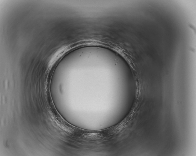 X0000100380151200806201658