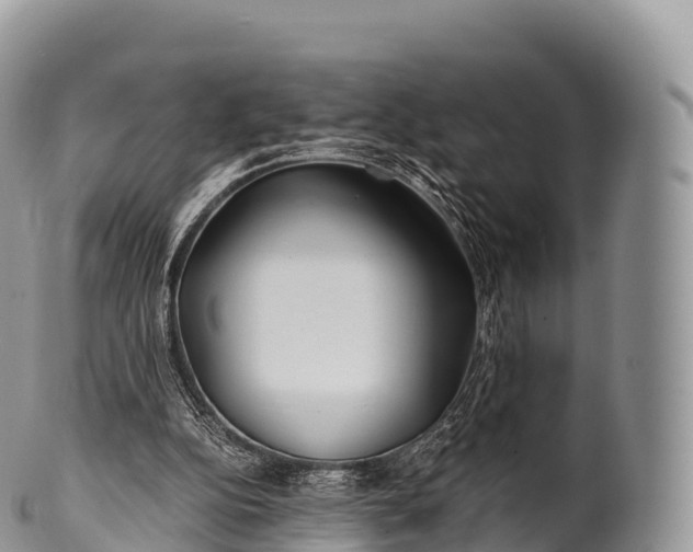 X0000100380152200806201658