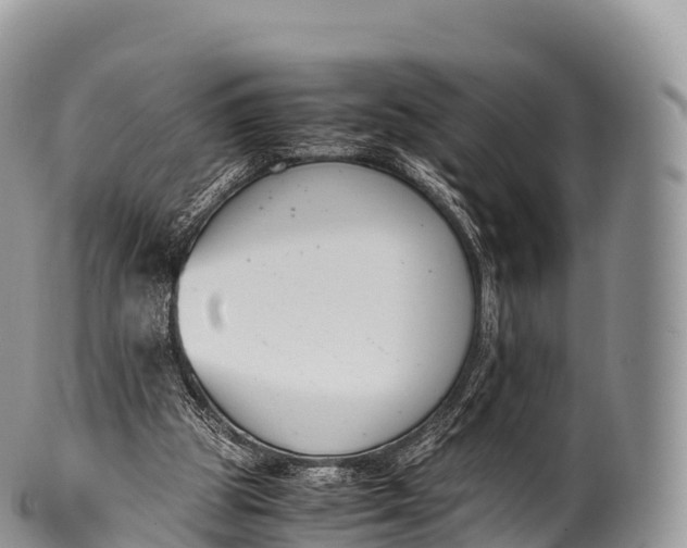 X0000100380153200806201658