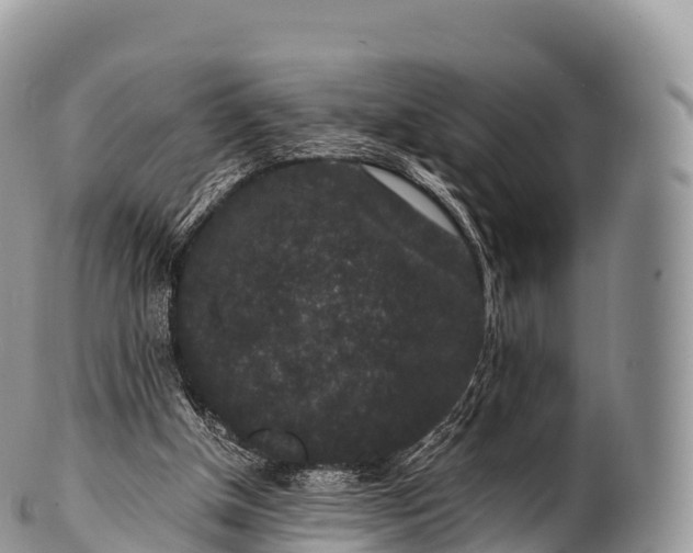 X0000100380154200806201658