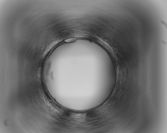 X0000100380155200806201658
