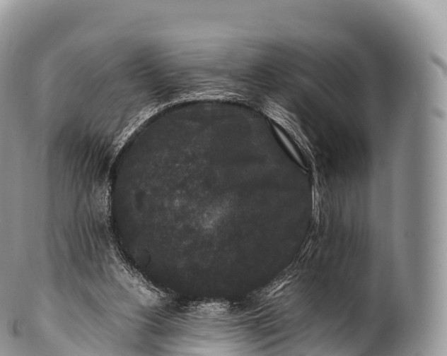 X0000100380156200806201658