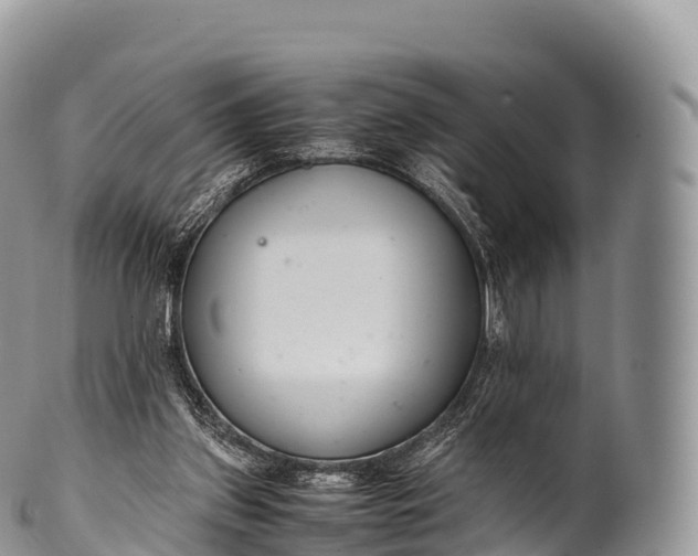 X0000100380157200806201658