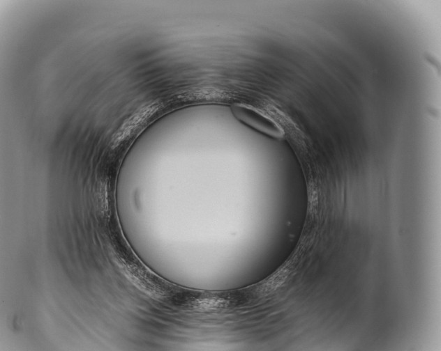 X0000100380158200806201659