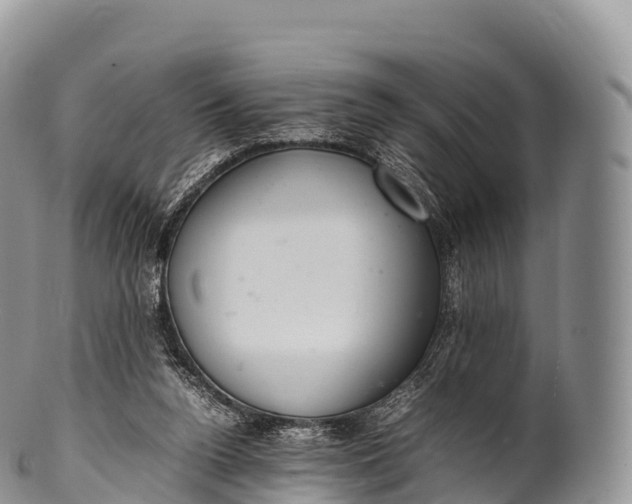 X0000100380160200806201659