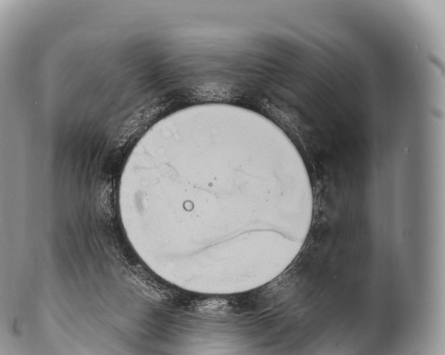 X0000100380162200806201659