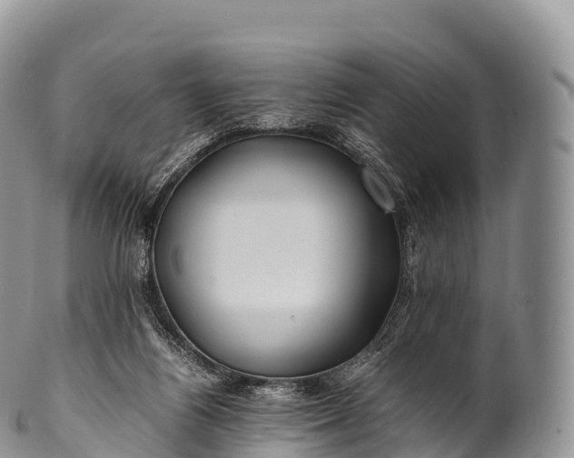X0000100380164200806201659