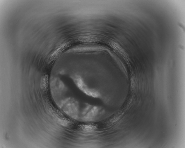 X0000100380165200806201659