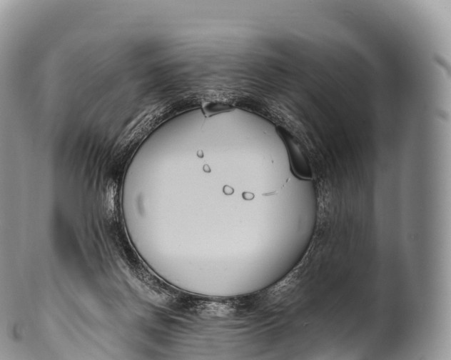 X0000100380166200806201659