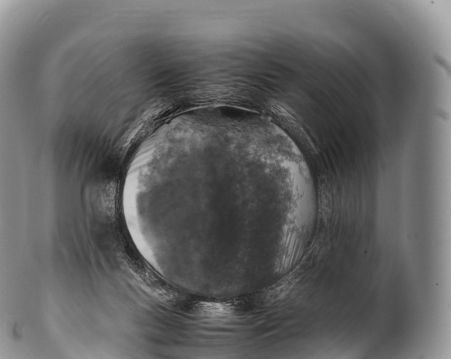X0000100380167200806201659