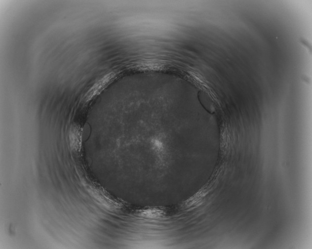 X0000100380168200806201659
