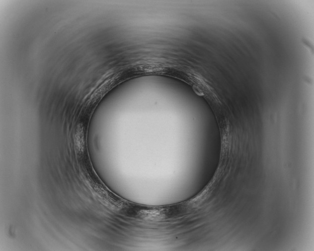 X0000100380170200806201659