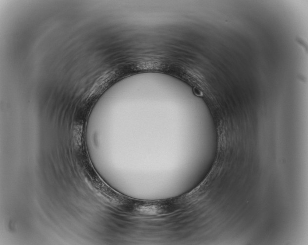 X0000100380171200806201659