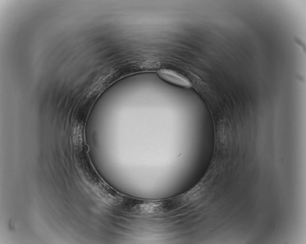 X0000100380172200806201659