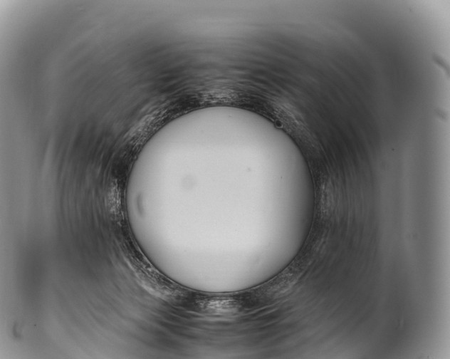 X0000100380173200806201659
