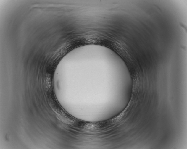 X0000100380174200806201659