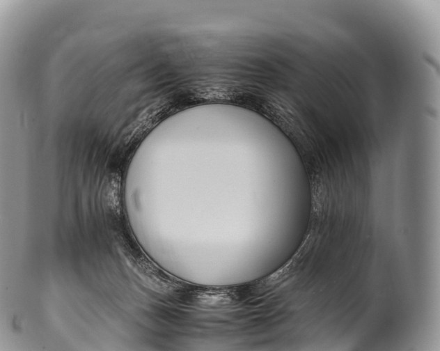 X0000100380175200806201659