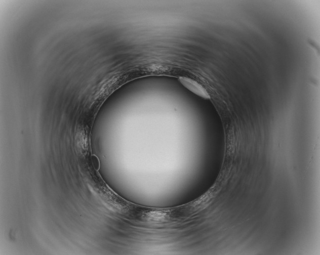 X0000100380176200806201659