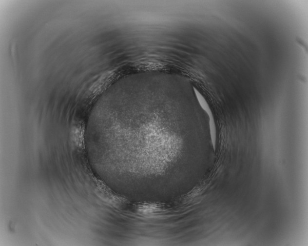X0000100380177200806201659