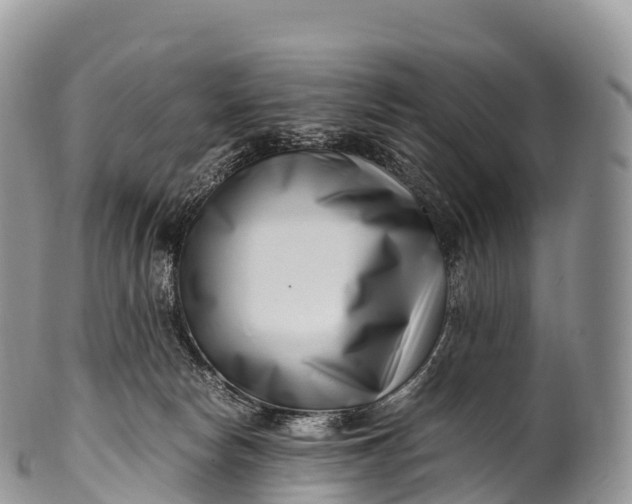 X0000100380178200806201659