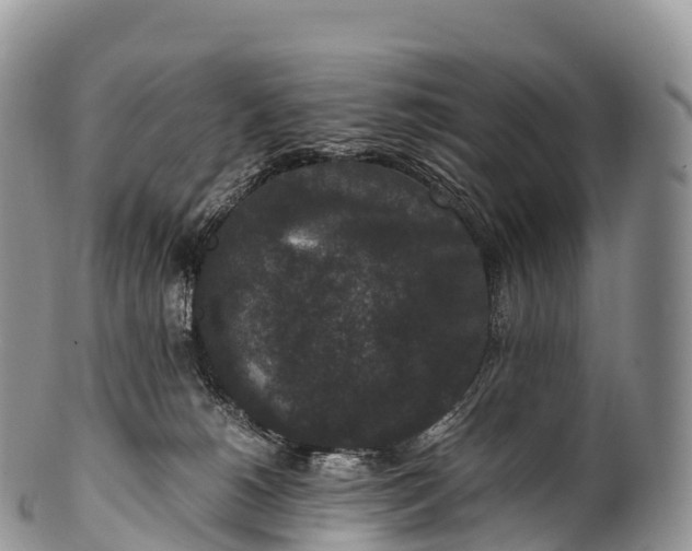 X0000100380180200806201659