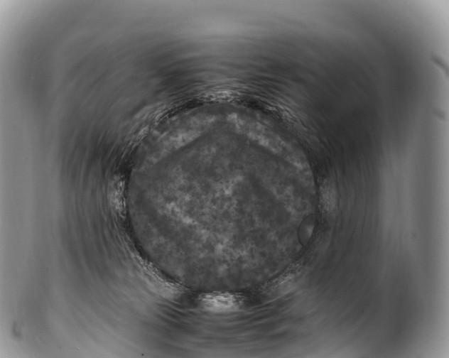 X0000100380181200806201659