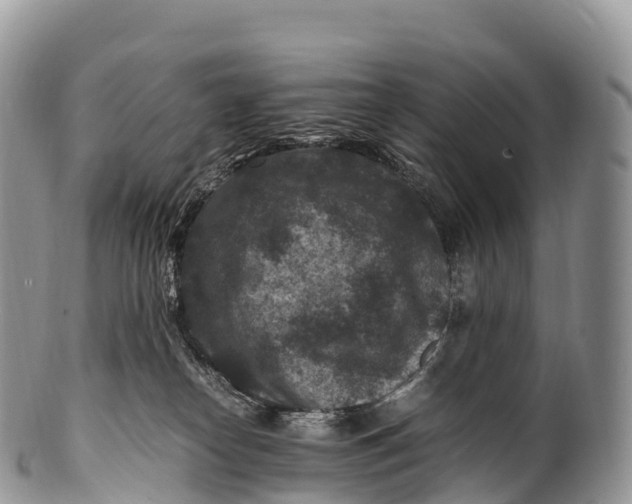 X0000100380182200806201659