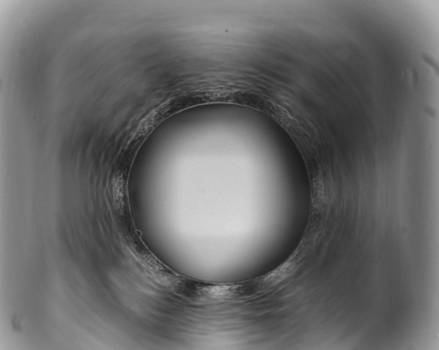 X0000100380184200806201659