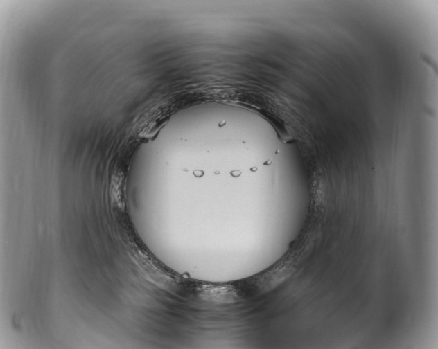 X0000100380185200806201659
