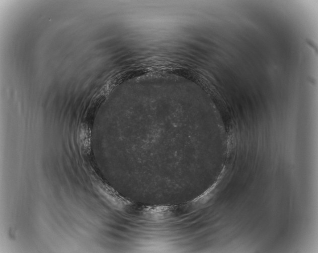 X0000100380186200806201659