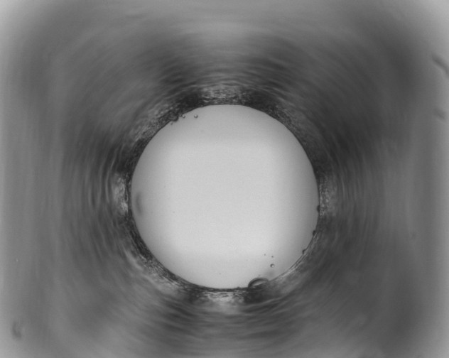 X0000100380187200806201659