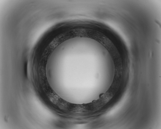 X0000100380189200806201659