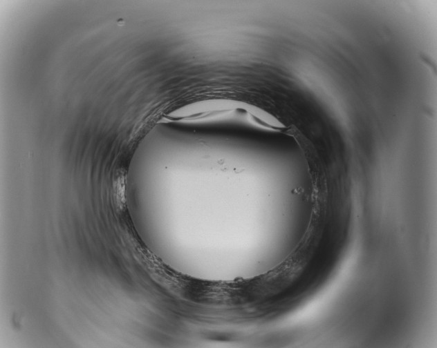 X0000100380190200806201659