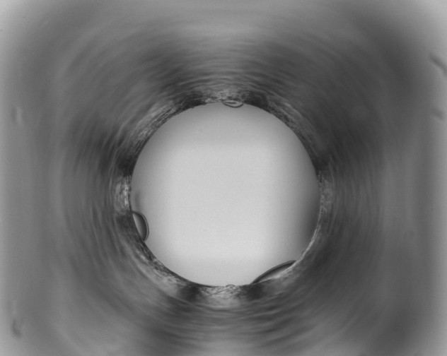 X0000100380191200806201659