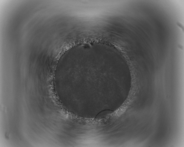X0000100380192200806201659