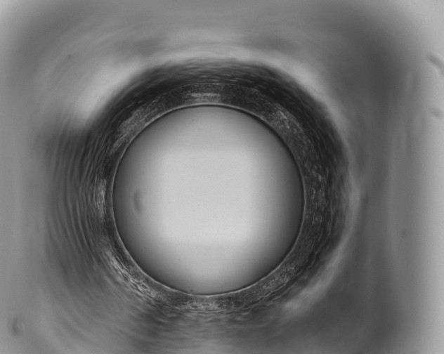 X0000100380194200806201658