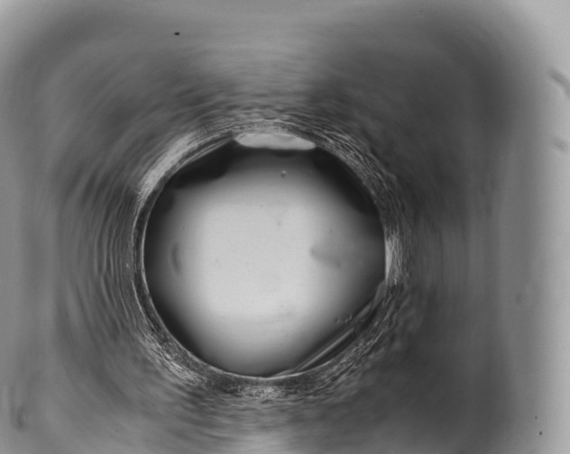 X0000100380195200806201658