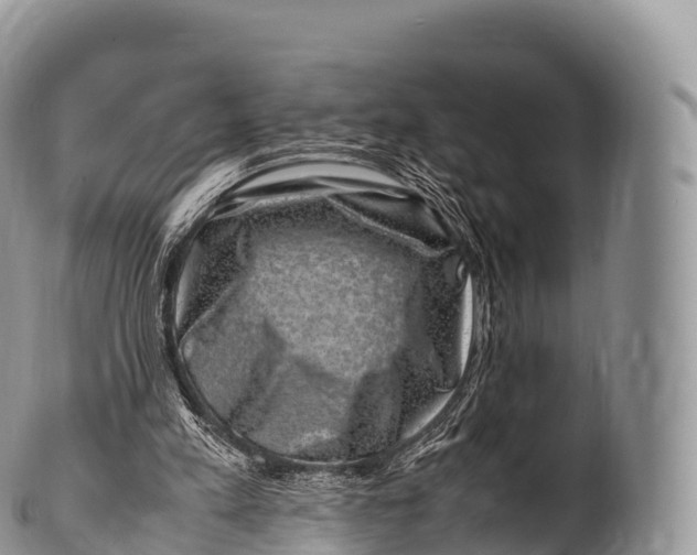 X0000100380197200806201658