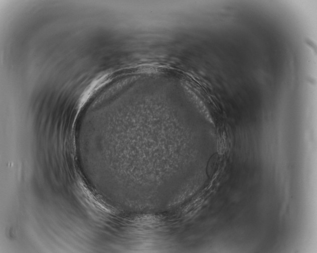 X0000100380198200806201658
