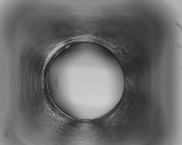 X0000100380200200806201658