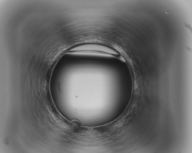 X0000100380201200806201658