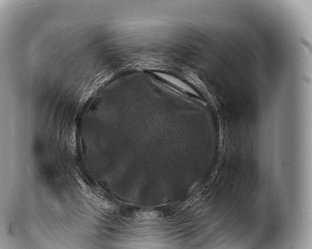 X0000100380202200806201658