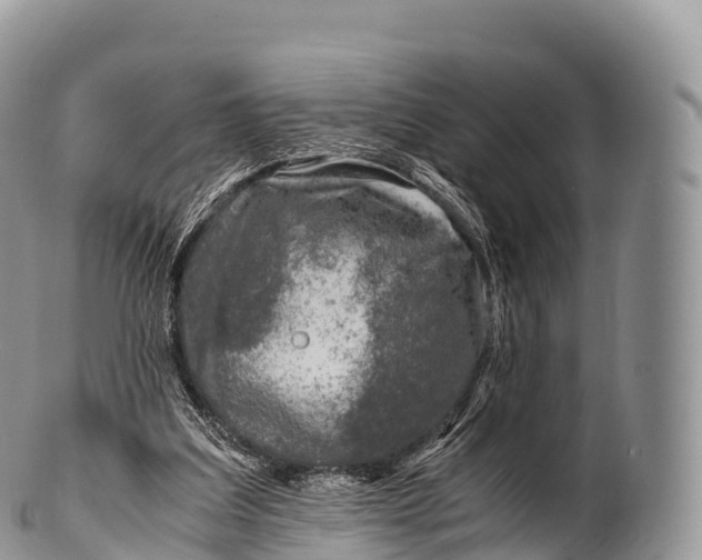 X0000100380203200806201658