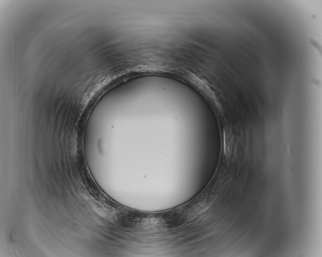 X0000100380204200806201658