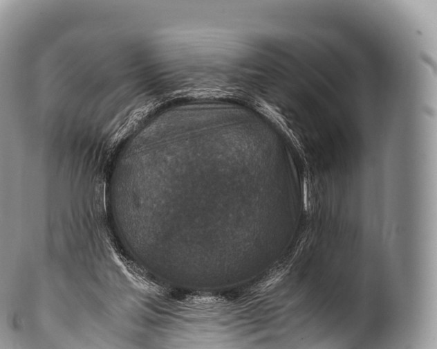 X0000100380205200806201658
