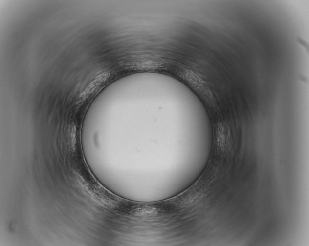 X0000100380206200806201658