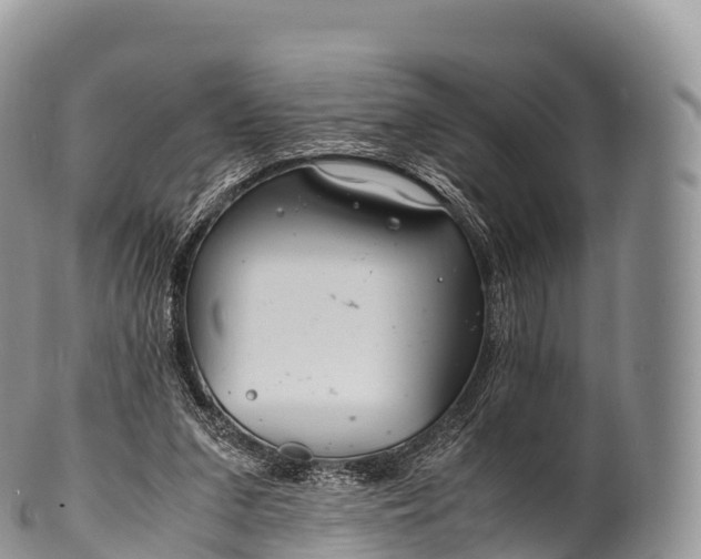 X0000100380207200806201658