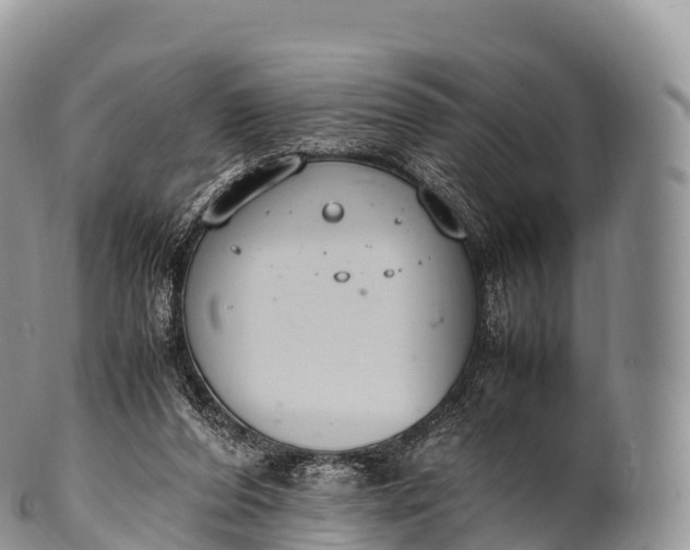 X0000100380208200806201658