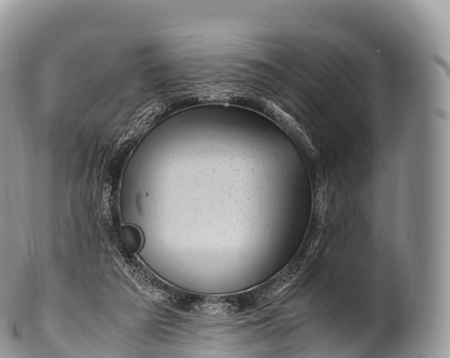 X0000100380209200806201658